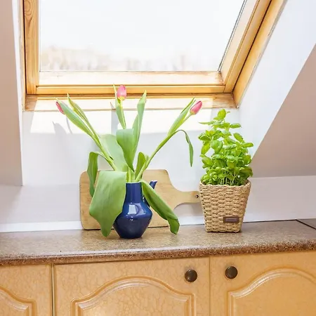 Appartement Klimatyczny Apartament Przy Bulwarze Optima Kołobrzeg